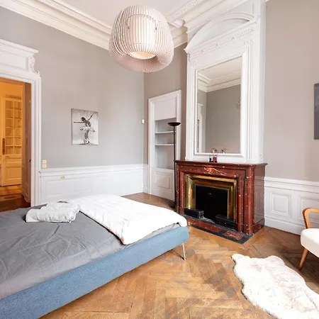 Apartment Le Rhone Haussmannien, Luxueux Spacieux Et Raffine Au Coeur De 6e Vue Rhone Lyon