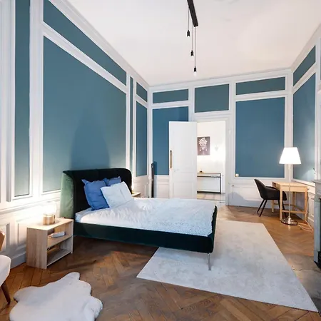 Apartment Le Rhone Haussmannien, Luxueux Spacieux Et Raffine Au Coeur De 6e Vue Rhone Lyon