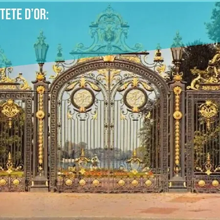 Apartment Le Rhone Haussmannien, Luxueux Spacieux Et Raffine Au Coeur De 6e Vue Rhone Lyon