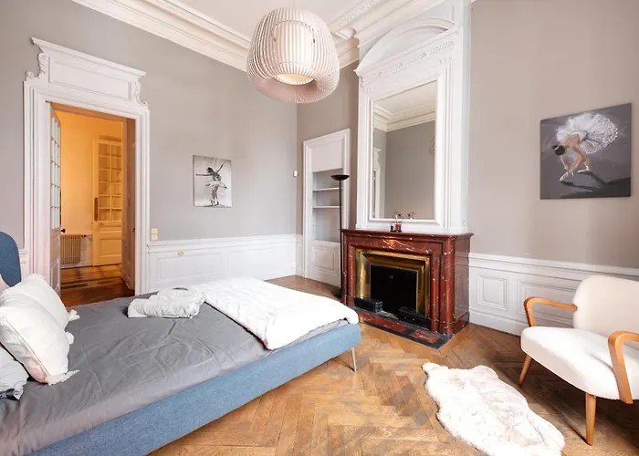 Apartament Le Rhone Haussmannien, Luxueux Spacieux Et Raffine Au Coeur De 6e Vue Rhone Lyon