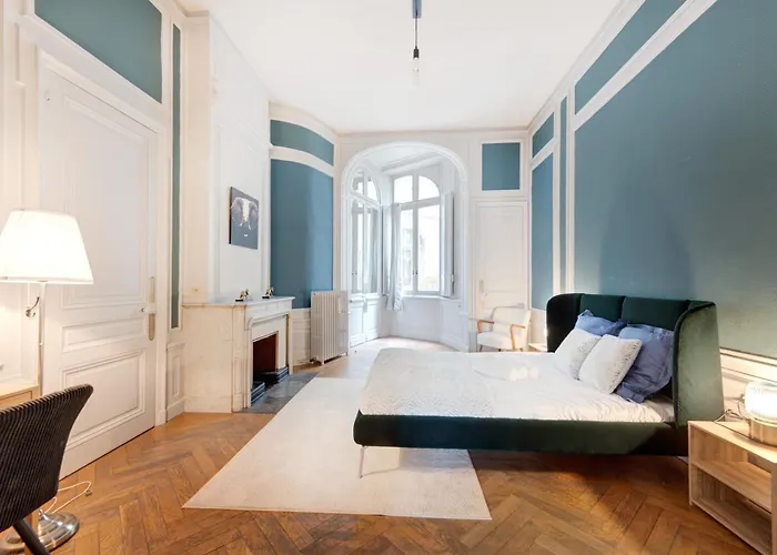 Le Rhone Haussmannien, Luxueux Spacieux Et Raffine Au Coeur De 6e Vue Rhone Lyon