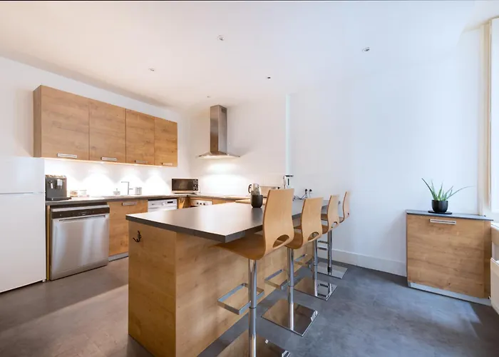 Apartament Le Rhone Haussmannien, Luxueux Spacieux Et Raffine Au Coeur De 6e Vue Rhone Lyon