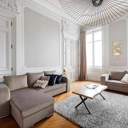 Appartement Le Rhone Haussmannien, Luxueux Spacieux Et Raffine Au Coeur De 6e Vue Rhone